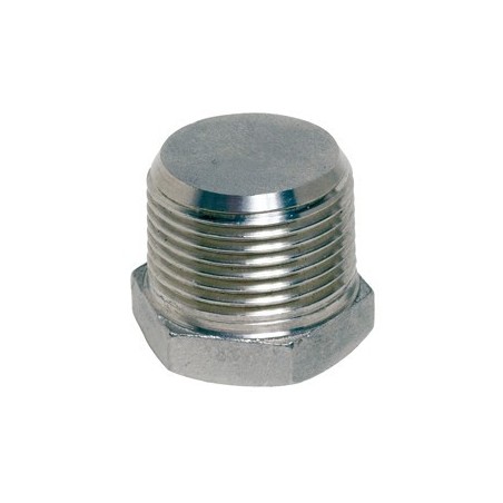 Raccord bouchon mâle BSP hexagonal modèle plein acier inox 316 ASTM A351 CF8M - 1/4"